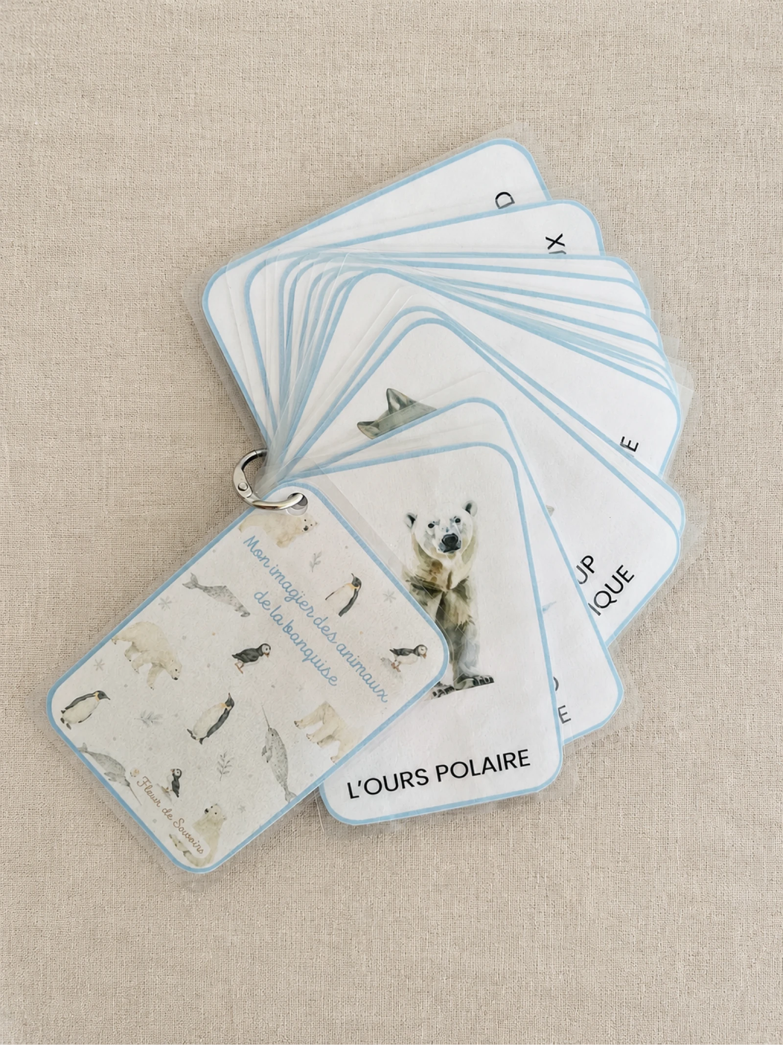 Pack imagier des animaux  – photo 7